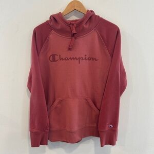 Champion Color Block Hoodie